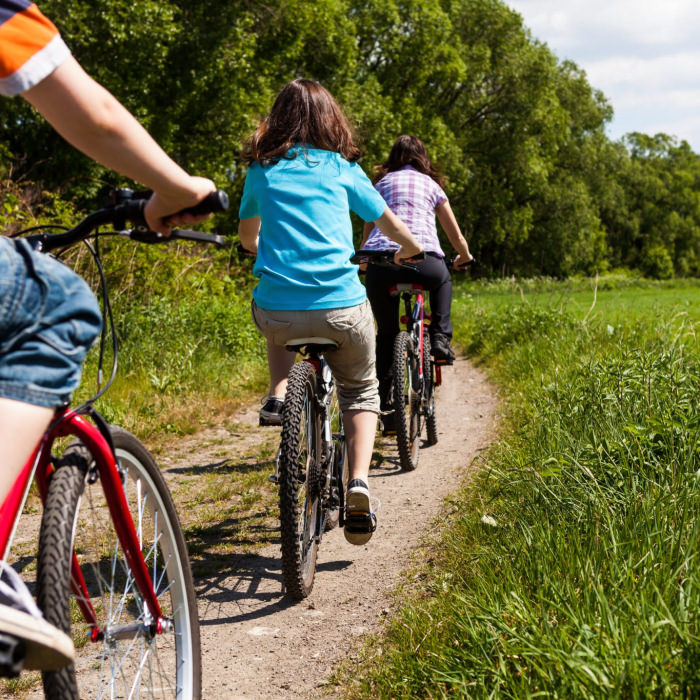 © Shutterstock. Promenade à vélo VTT, Plouay. Promenade à vélo, Plouay