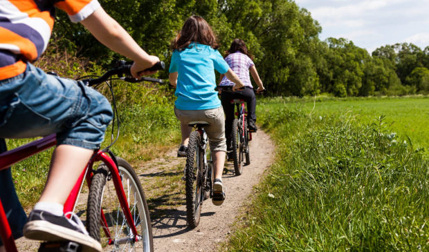 Promenade à vélo, Plouay