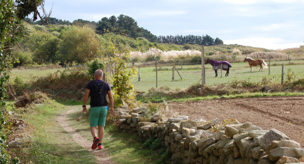 Randonnée dans les chemins de campagne