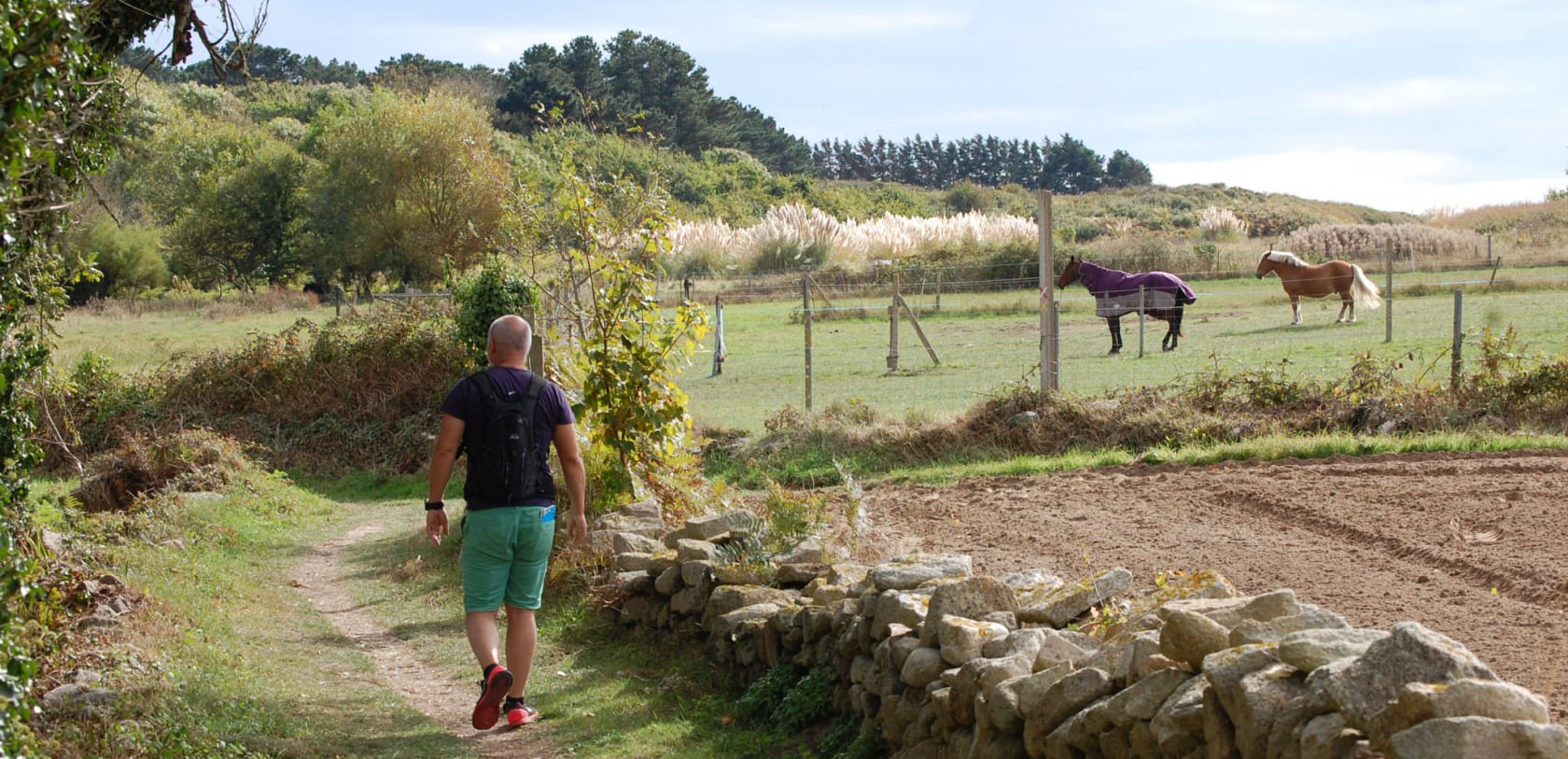 Randonnée dans les chemins de campagne