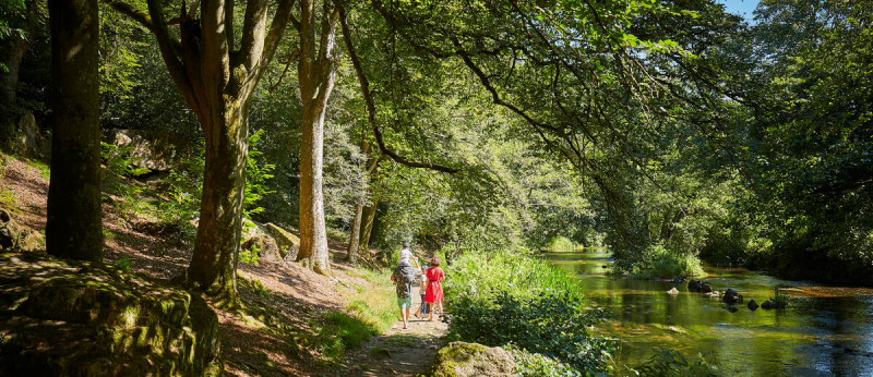 Randonnée sur le circuit du Bois d'Amour à Pont-Aven (Finistère)