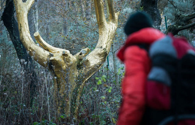 Randonneur au Val sans Retour dans la forêt de Brocéliande, Tréhorenteuc, (Morbihan)