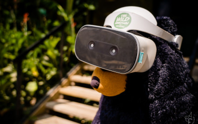 Animation Réalité Virtuelle au parc animalier Les Terres de Nataé, Pont-Scorff (Morbihan) - ©Anne-Claire Flécher