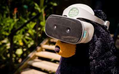 Animation Réalité Virtuelle au parc animalier Les Terres de Nataé, Pont-Scorff (Morbihan) - ©Anne-Claire Flécher