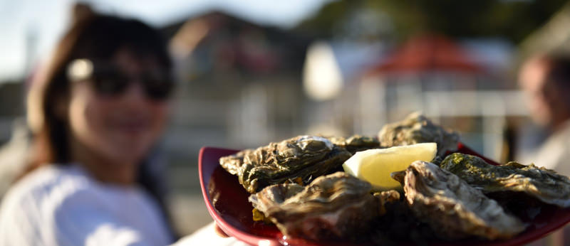 Dégustation d'huîtres à Baden, dans le Golfe du Morbihan (Bretagne Sud)