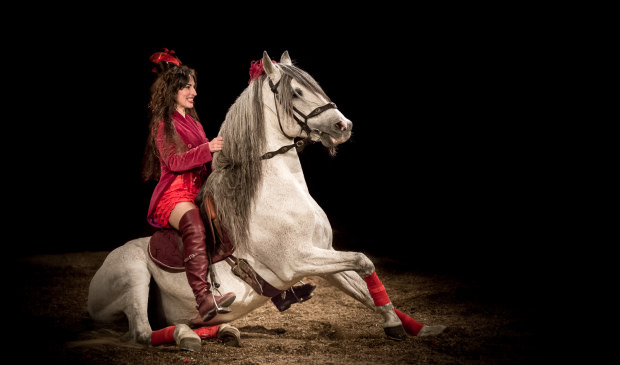 Spectacle équestre, Hennebont