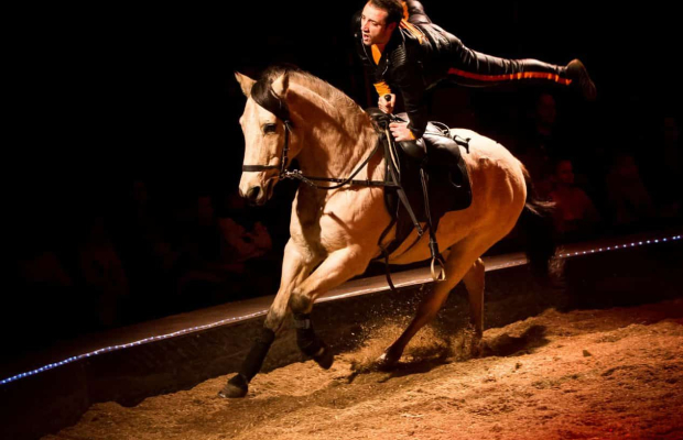 Spectacle équestre Hennebont