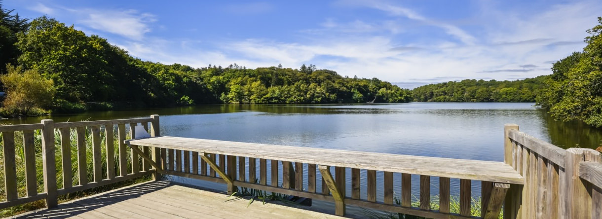 Terrase sur l'étang du Ter, Ploemeur