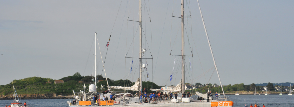 Départ du voiler TARA dans la rade de Lorient.