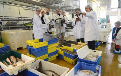 Visite guidée de la criée au port de pêche de Lorient Keroman (Morbihan)