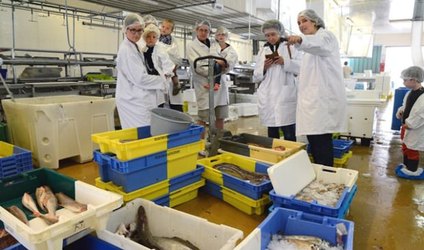 Visite guidée de la criée au port de pêche de Lorient Keroman (Morbihan)