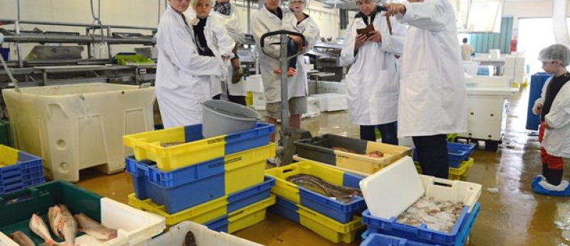 Visite guidée de la criée au port de pêche de Lorient Keroman (Morbihan)