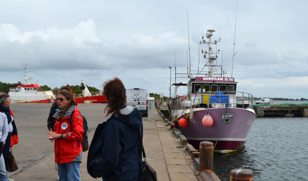 Visite guidée du Port de pêche de Lorient avec l'Espace des Sciences - Maison de la Mer - ©LBST