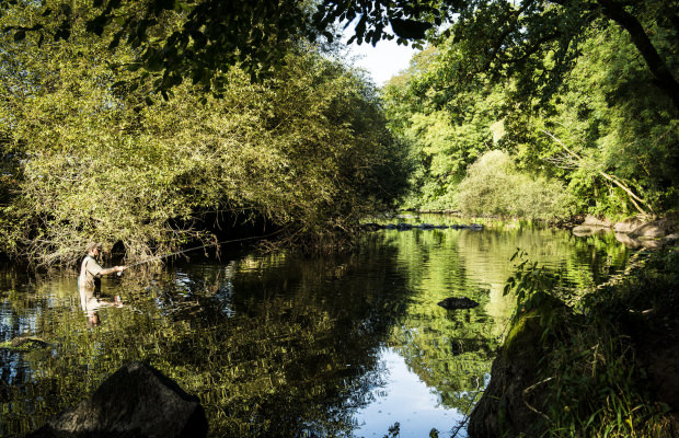 Pêcheur à la ligne dans le Scorff à Pont-Scorff