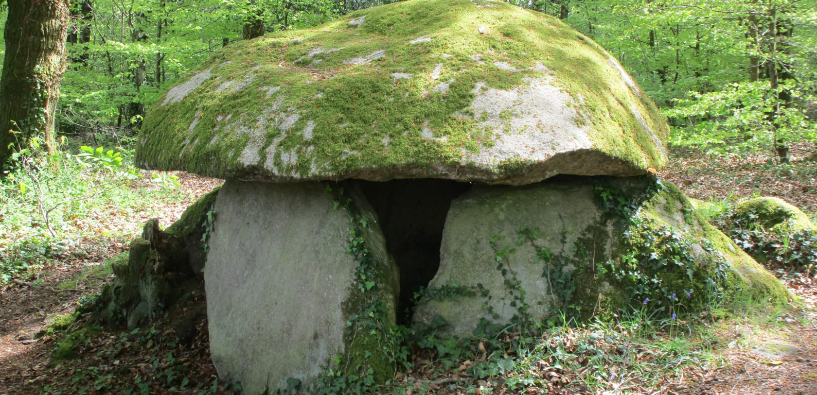 dolme de lesvariel à Guidel en Morbihan